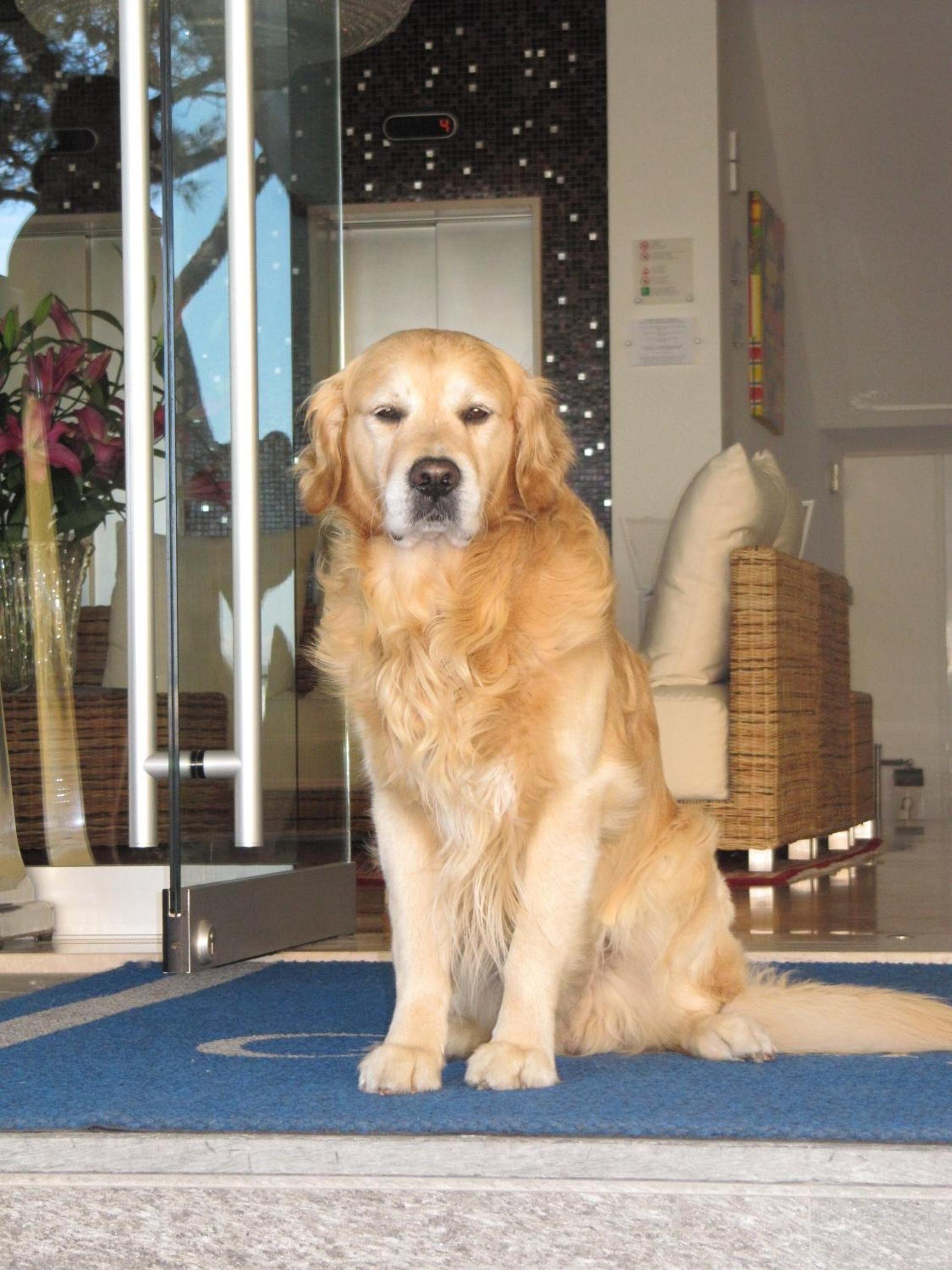 Hotel Croce Di Malta 4* Lido di Jesolo